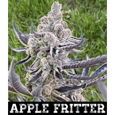 Apple Fritter 