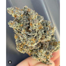 88G13 Hash Plant 88G13 Hash Plant