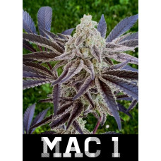 Mac 