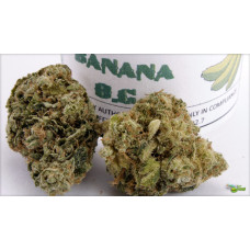 Banana OG (Banana x Og Kush) Banana OG (Banana x Og Kush)