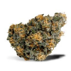 Blue Dream (Blueberry x Haze)