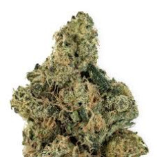 Diesel Therapy Diesel Therapy