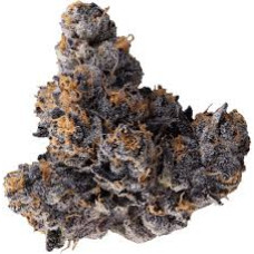 Jealousy (Sherbert x Gelato 41)