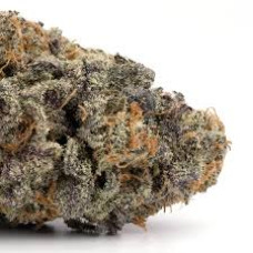 Meat Breath (meatloaf x mendo breath)