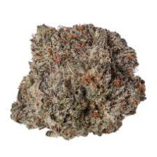 Sour Gelato (Sunset Sherbet x Thin Mint GSC)