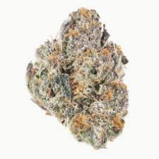 Watermelon Martini (Melon Runtz x Lemon Cherry Gelato) Watermelon Martini (Melon Runtz x Lemon Cherry Gelato)